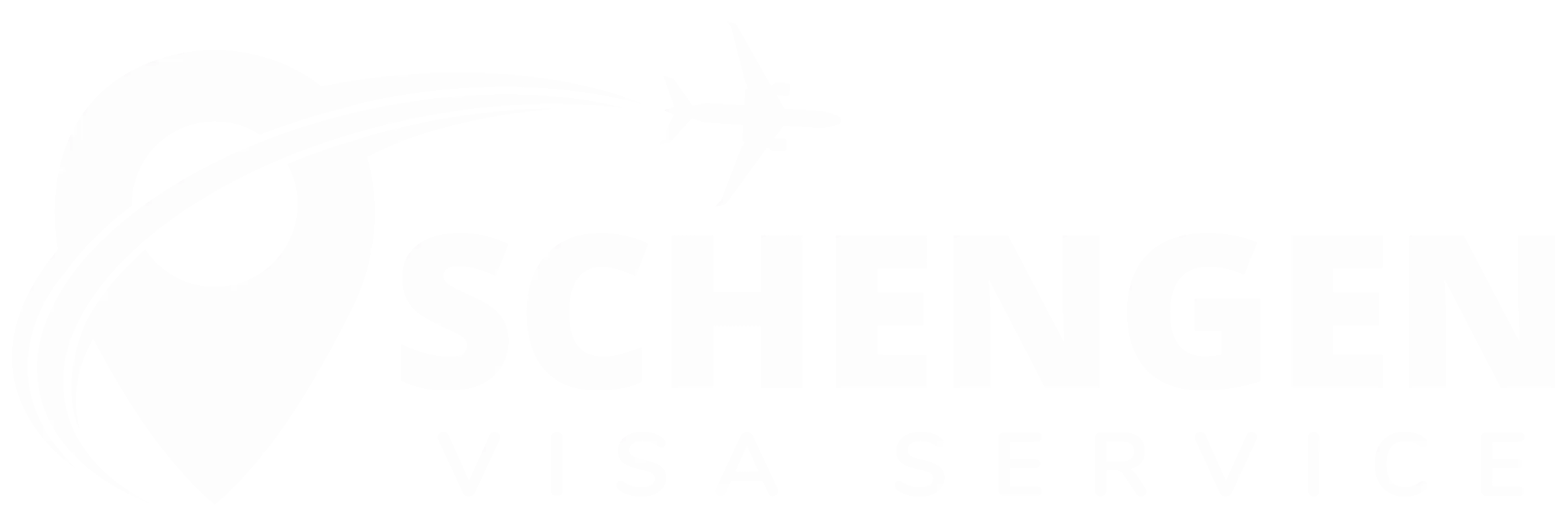 Schengen Visa Service